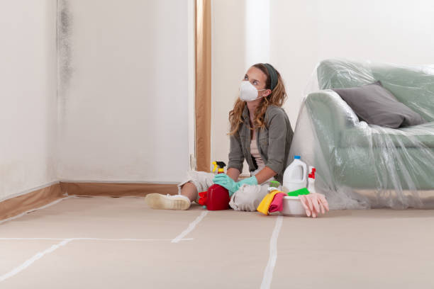 Reliable Mold Inspection contractor in Kirkland, WA by WQB Mold Removal